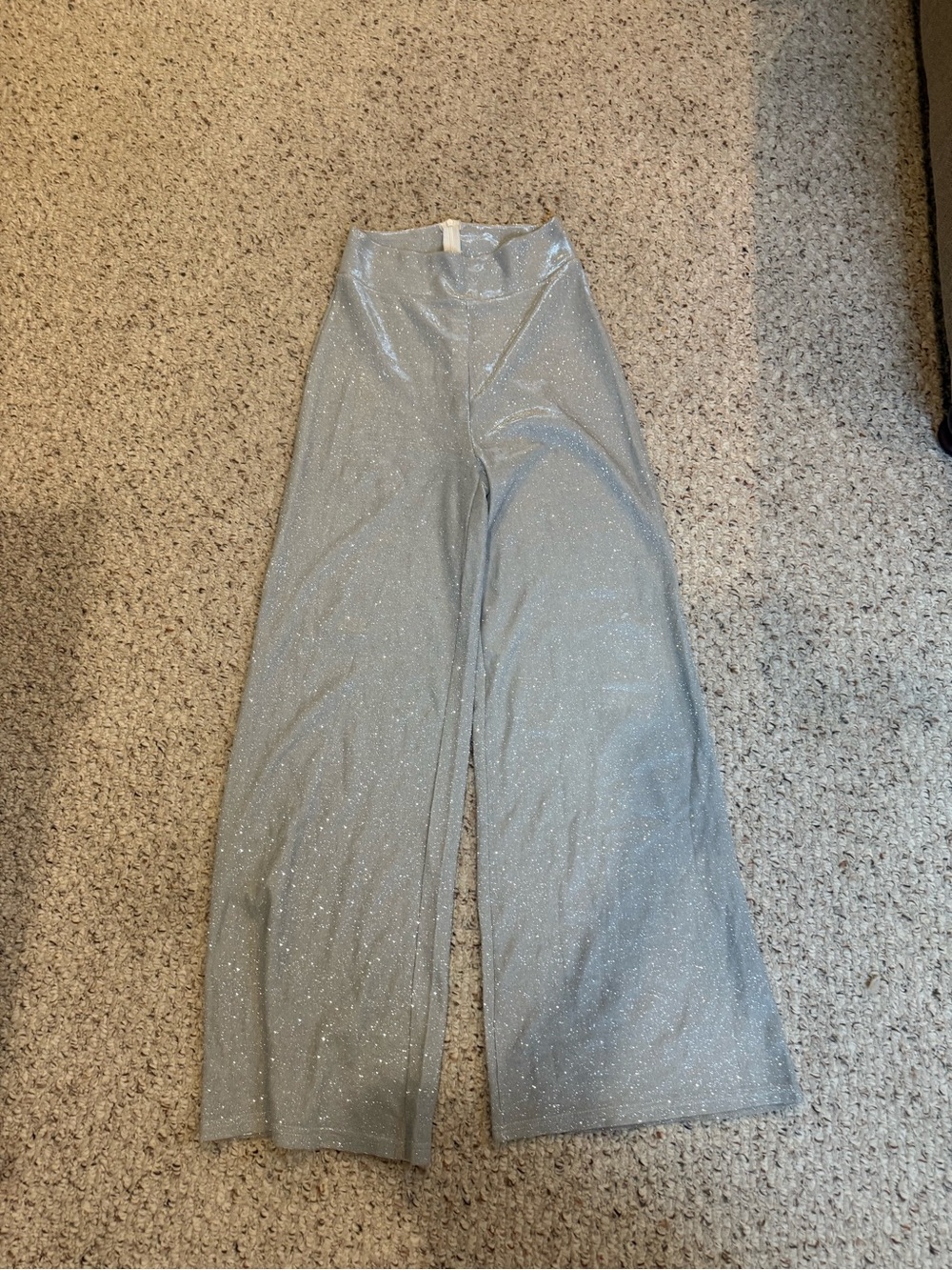Wide-Leg Sparkle Pants in Light Silver